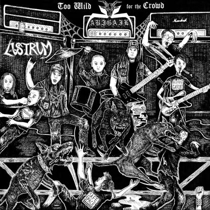 Abigail (JPN) / Lustrum (US) – "Too Wild For The Crowd" - SPLIT vinyl  7"