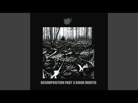Muskeg Charnel (US) - "Decomposition Part 3: Rigor Mortis" pro CDR